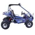 Beach Buggy Off Road Go Kart 