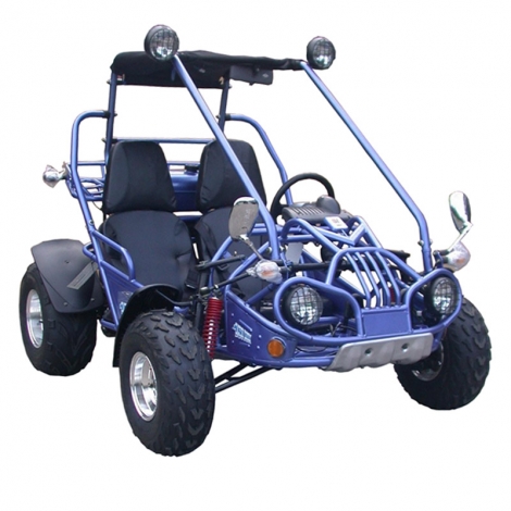 Buggy Off Road Go Karts en venta