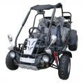 Adultos Dune Buggy gasolina 300cc negro 