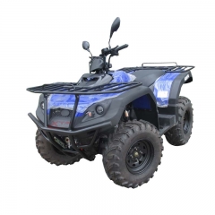 China ATV 4 x 4 300