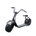 Scooter eléctrico de rueda grande con el asiento 1000W 