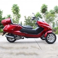 300cc Gas Scooter triciclo de 3 ruedas 