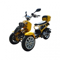 Gas de 50cc Trike motocicleta de tres ruedas