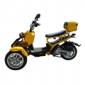 50cc 3 ruedas Gas Scooter Trike Motorycycle 