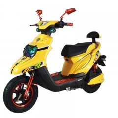 Moto eléctrica Scooter de 800W